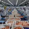 Sustainable development for Vietnamese shrimp industry