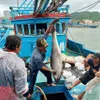 Tuna vessels returned with high output