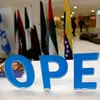 OPEC faces challenges after Qatar's withdrawal