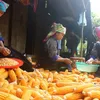 Vietnam focuses on sustainable poverty reduction