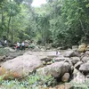 Bac Giang strives to preserve biodiversity in Tay Yen Tu