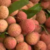 Forum promotes consumption of Bac Giang lychees