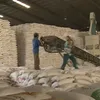 Value of rice exports falls