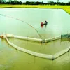 Developing the Mekong Delta sustainably in response to climate change