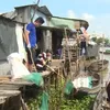 Campaign to clean up Mekong river