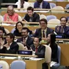 Vietnam elected non-permanent UN Security Council member for 2020-2021 term