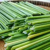 Vietnamese bamboo straws gain popularity in domestic market