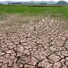 Drought hits central provinces in Vietnam