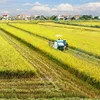 Vietnam faces challenges in agriculture