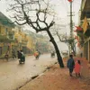 Ancient Hanoi through the image of timeless signs