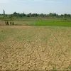 Drought leads to higher agricultural production costs