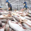 Tra fish price falls to 10-year low