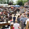 Street food festival in Brussels