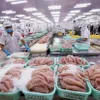 Vietnamese Tra fish  exports faces challenges