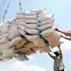 Rice export to be controlled this year