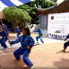 Vietnamese martial art returns to its hometown