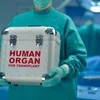 15 organ transplants performed in one week