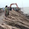 Ca Mau sea dike at risk of being breached