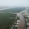 Mekong Delta region fights against landslides