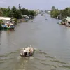 Major irrigation project begins construction in Mekong Delta