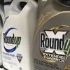 Jury finds Monstanto's Roundup cause a man's cancer