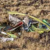 Ethiopian Airlines flight crashes, killing 157