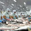 Vietnam's tra fish exports exceed US$2 bln for the first time