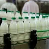 Vietnamese dairy products to be exported to China through official channels