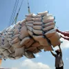 The Philippines changes its rice import policy