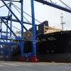 Hai Phong international terminal welcomes first container ship