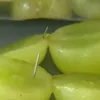 Needles found in bag of grapes in Australia