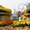 Nguyen Hue flower street opens