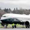 Family of 737 max planes grounded until problem identified