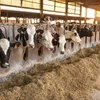 Advanced technology in dairy production