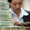 Vietnam’s foreign exchange reserves continue to rise