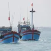 Fishermen in Quang Ngai enjoy bumper shrimp catch