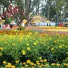 Spring Flower Festival dazzles Ho Chi Minh City