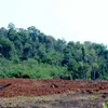 Community-based forest management the way forward