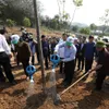 Party, State leader launches Tết tree planting festival in Yên Bái