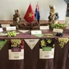 Australia to boost VN trade ties through table grapes