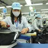 Việt Nam sees reduction of new firms in Feb