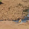 Water supply drops in Central Highlands as lakes dry up