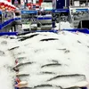 Costs cause seafood firms to sink