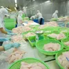 Local tra fish exports to the UK up almost 70% in value