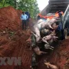 African swine fever wreaks havoc in Hà Nam Province