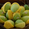 First Vietnamese mango exported to the US