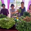 Ethnic women find success growing organic vegetables