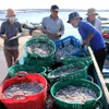 Formosa compensation to be spent on fishing logistics and aquatic ecosystem regeneration