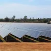 First solar power plant debuts in Quảng Ngãi