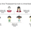 Pre-marriage blood testing can stop inherited blood disorder